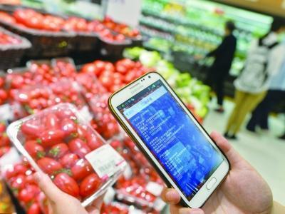 給食品銷售插上“互聯網”的翅膀 劉先玲與中國食品銷售網的創新之路